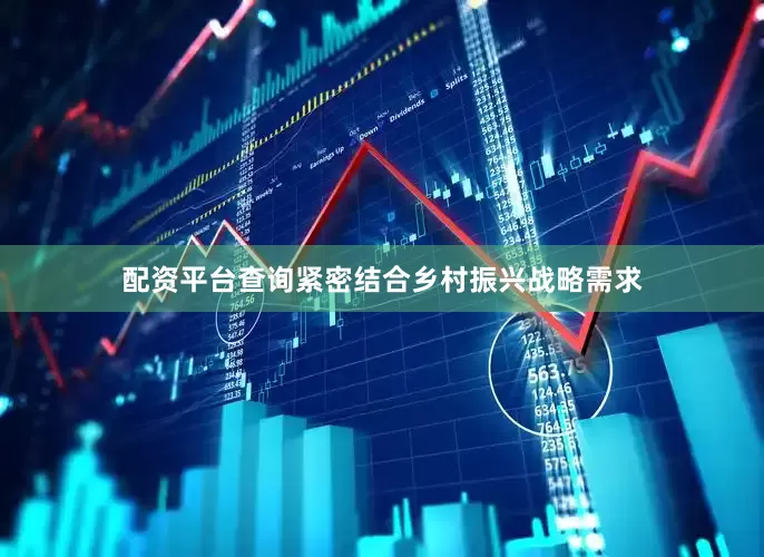 配资平台查询紧密结合乡村振兴战略需求